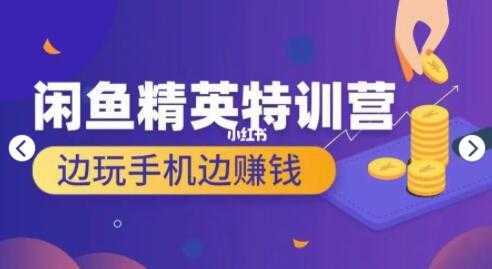 翼牛学堂 闲鱼项目精英特训营培训视频，月光族上班族的闲鱼赚钱课程-水母智库