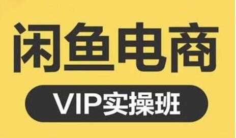 鱼客《闲鱼电商零基础入门到进阶》VIP实战培训课程视频-水母智库
