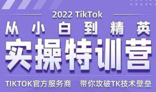 Seven漆《Tiktok从小白到精英实操特训营》带你掌握Tiktok账号运营-水母智库