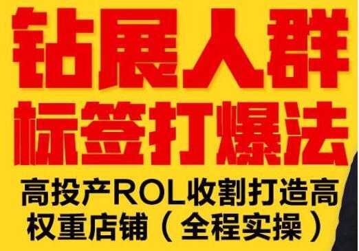 逐鹿《淘宝钻展人群标签打爆法》高投产ROL收割打造高权重店铺(全程实操)-水母智库