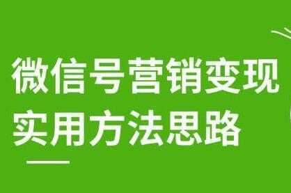 徐悦佳《微信号营销变现实用方法思路》朋友圈刷屏裂变方法-水母智库