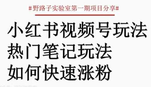 小红书视频号项目，直接上手操作，月入过万-水母智库