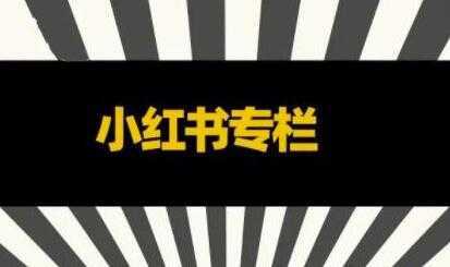 品牌医生《小红书全链营销干货》5个起盘案例，营销策略规划，避坑指南-水母智库