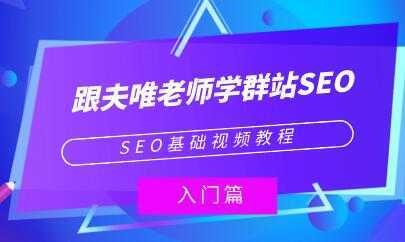 夫唯《群站seo优化教程视频》SEO基础视频教程-水母智库