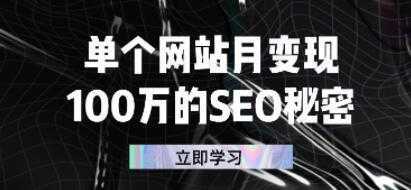 单个网站月变现《100万的SEO秘密》-水母智库
