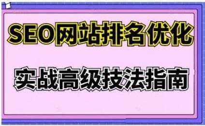 樊天华《SEO网站排名优化》实战高级技法指南-水母智库