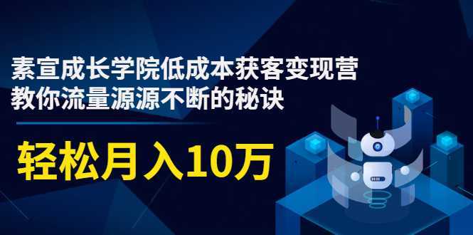 素宣成长学院低成本获客变现营，教你流量源源不断的秘诀，轻松月入10万-水母智库