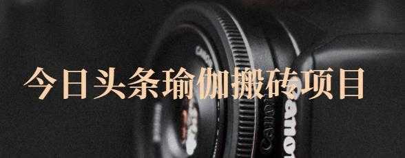 猎人社区·今日头条瑜伽搬砖项目，单号一天几十收入，可以批量操作！-水母智库