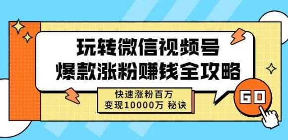 玩转微信视频号爆款涨粉赚钱全攻略，快速涨粉百万变现万元秘诀-水母智库