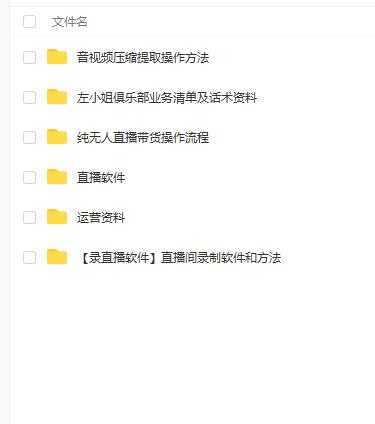 左小姐-直播带货俱乐部十三行、无人直播，全套教程附：工具、文档、话术资料-水母智库