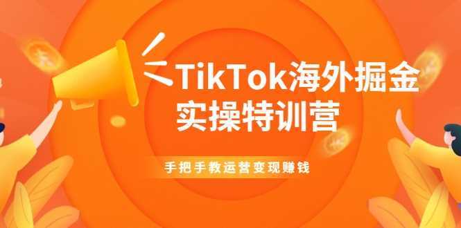 TikTok海外掘金实操特训营：手把手教运营变现赚钱-水母智库