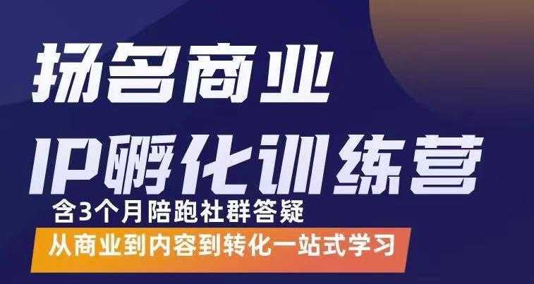 杨名商业IP孵化训练营,从商业到内容到转化一站式学 价值5980元-水母智库