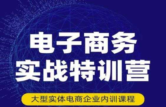 民赛电气内部出品：电子商务实战特训营，全方位带你入门电商，308种方式玩转电商-水母智库