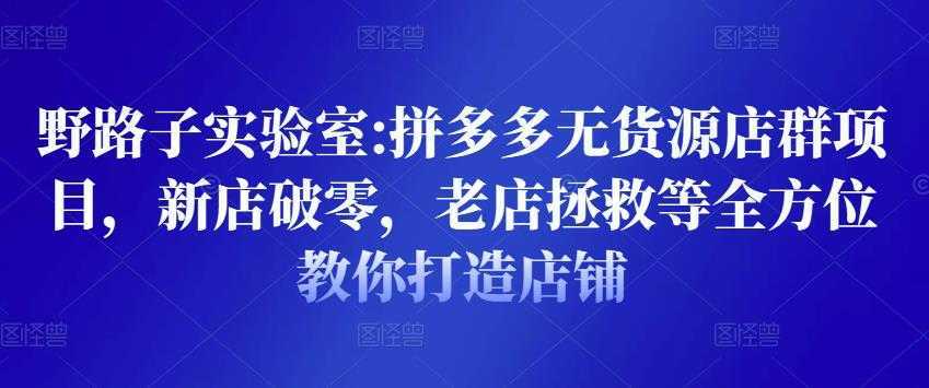 野路子实验室:拼多多无货源店群项目，新店破零，老店拯救等全方位教你打造店铺-水母智库