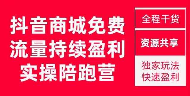 抖音商城搜索持续盈利陪跑成长营，抖音商城搜索从0-1、从1到10的全面解决方案-水母智库