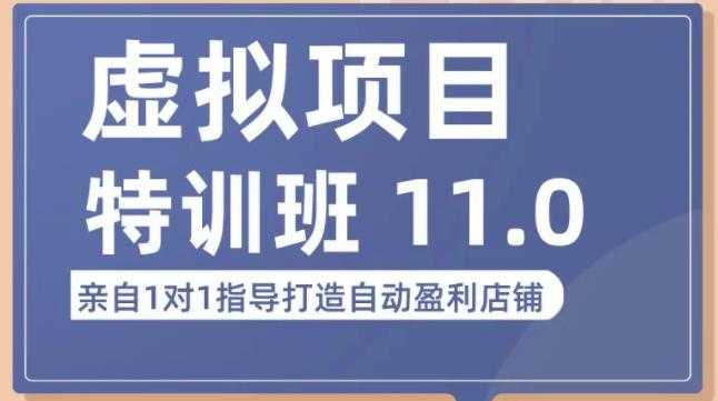 图片[1]-陆明明·虚拟项目特训班（10.0+11.0），0成本获取虚拟素材，0基础打造自动盈利店铺-水母智库