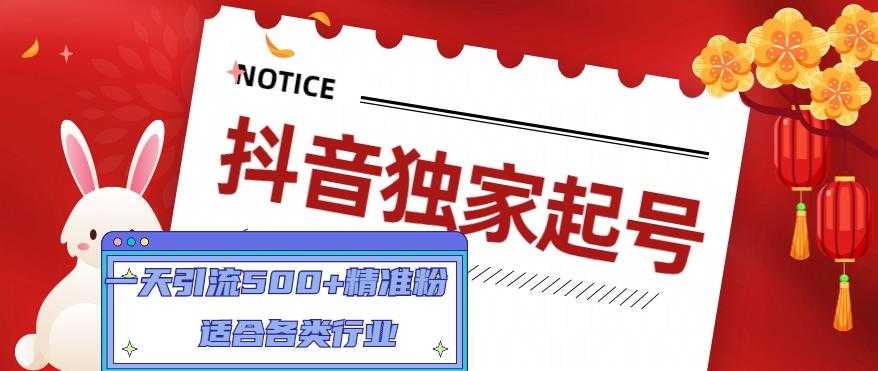 抖音独家起号，一天引流500+精准粉，适合各类行业（9节视频课）-水母智库