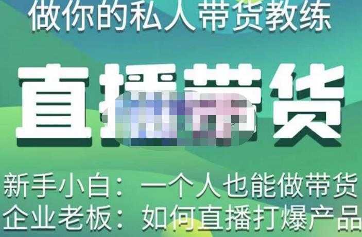 硬核传媒·直播带货（私人教练），实操实战教学，通俗易懂，学完后新手小白一个人也能做带货-水母智库