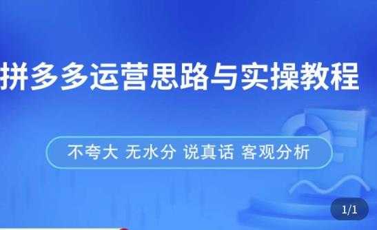 拼多多店铺运营思路与实操教程，快速学会拼多多开店和运营，少踩坑，多盈利-水母智库