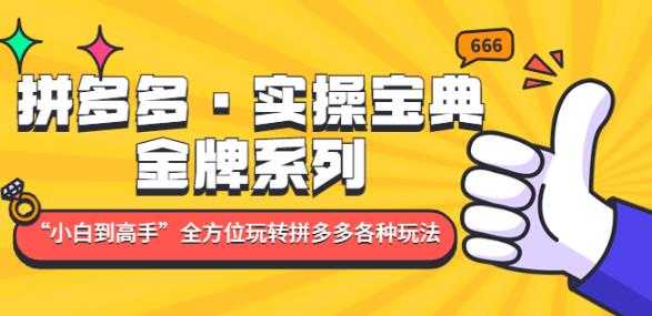 图片[1]-拼多多·实操宝典：金牌系列“小白到高手”带你全方位玩转拼多多各种玩法-水母智库