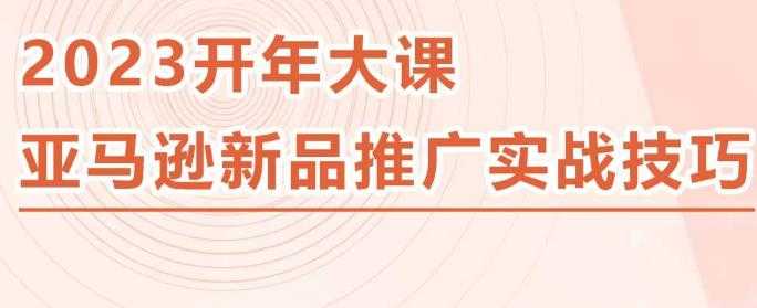 2023亚马逊新品推广实战技巧，线下百万美金课程的精简版，简单粗暴可复制，实操性强的推广手段-水母智库