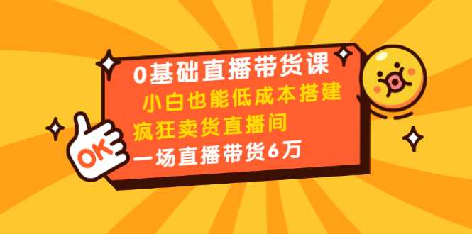 0基础直播带货课：小白也能低成本搭建疯狂卖货直播间：1场直播带货6万-水母智库
