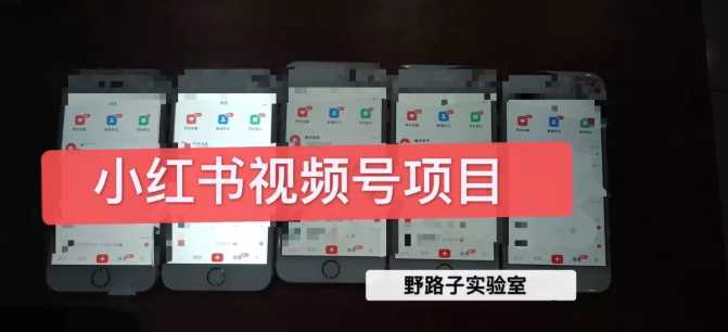 野路子小红书视频号1.0项目，直接上手操作就能赚钱的视频号项目-水母智库