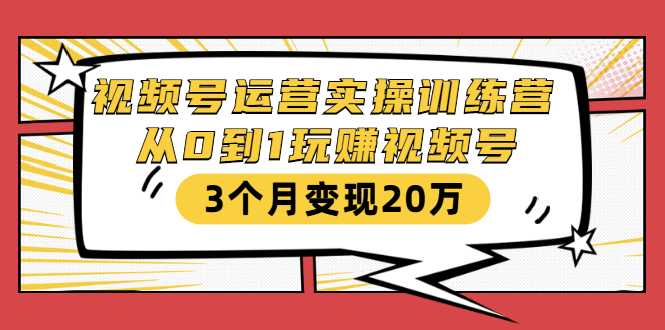 视频号运营实操训练营：从0到1玩赚视频号，3个月变现20万-水母智库