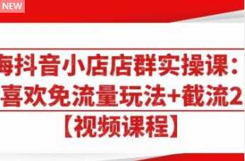 大海抖音小店店群实操课：猜你喜欢免流量玩法+截流 2.0-水母智库