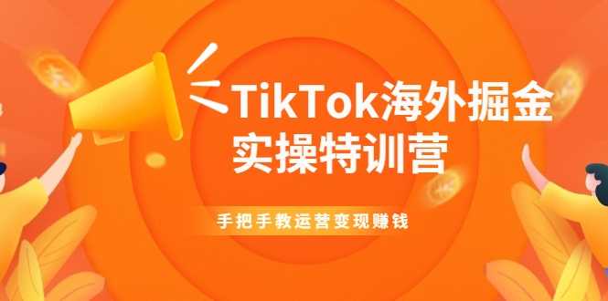 TikTok海外掘金实操特训营：手把手教运营变现赚钱-水母智库