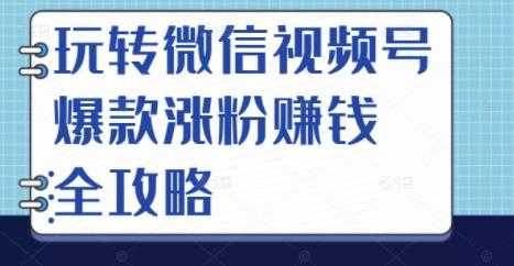 玩转微信视频号爆款涨粉赚钱全攻略,让你快速抓住流量风口,收获红利财富-水母智库