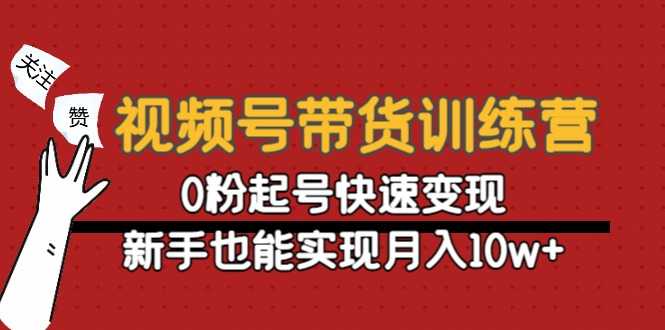 视频号带货训练营：0粉起号快速变现，新手也能实现月入10w+-水母智库