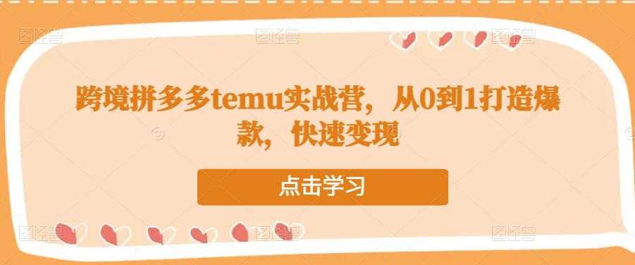 跨境拼多多temu实战营,从0到1打造爆款,快速变现-水母智库