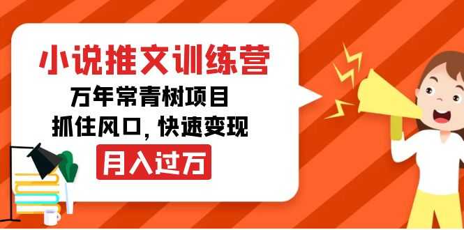 小说推文训练营，万年常青树项目，抓住风口，快速变现月入过万-水母智库