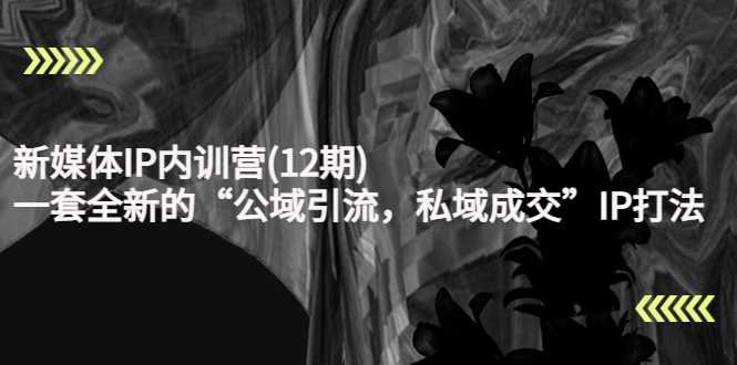 图片[1]-新媒体IP内训营(12期)，一套全新的“公域引流，私域成交”IP打法，直接带走-水母智库