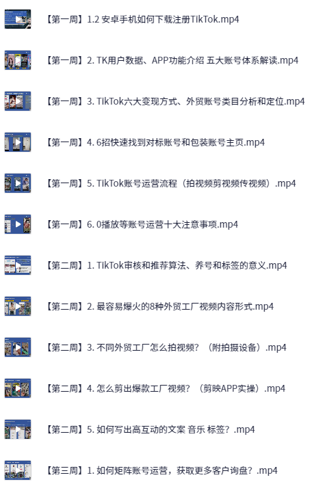 图片[2]-TikTok外贸工厂陪跑训练营-水母智库