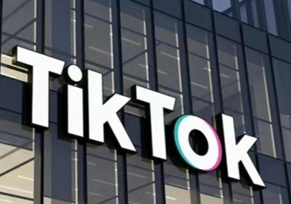 Tiktok线上60天落地陪跑训练营 奇迹出海-水母智库