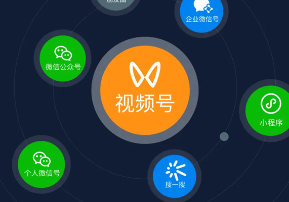 盗坤·视频号微信豆直播打品陪跑营（十三期）-水母智库