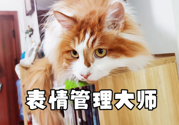 让你比同龄人年轻10岁的表情管理课-水母智库