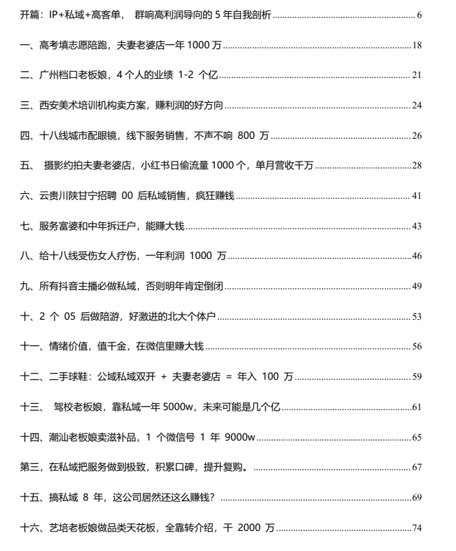 图片[1]-100个赚100w新个体实战案例-水母智库