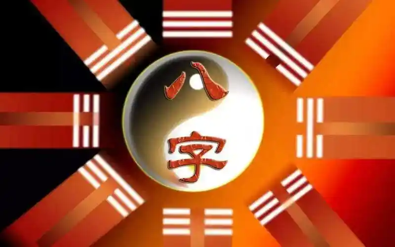 《问真八字》中级班-水母智库