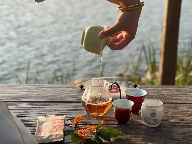 茶艺师教程-水母智库